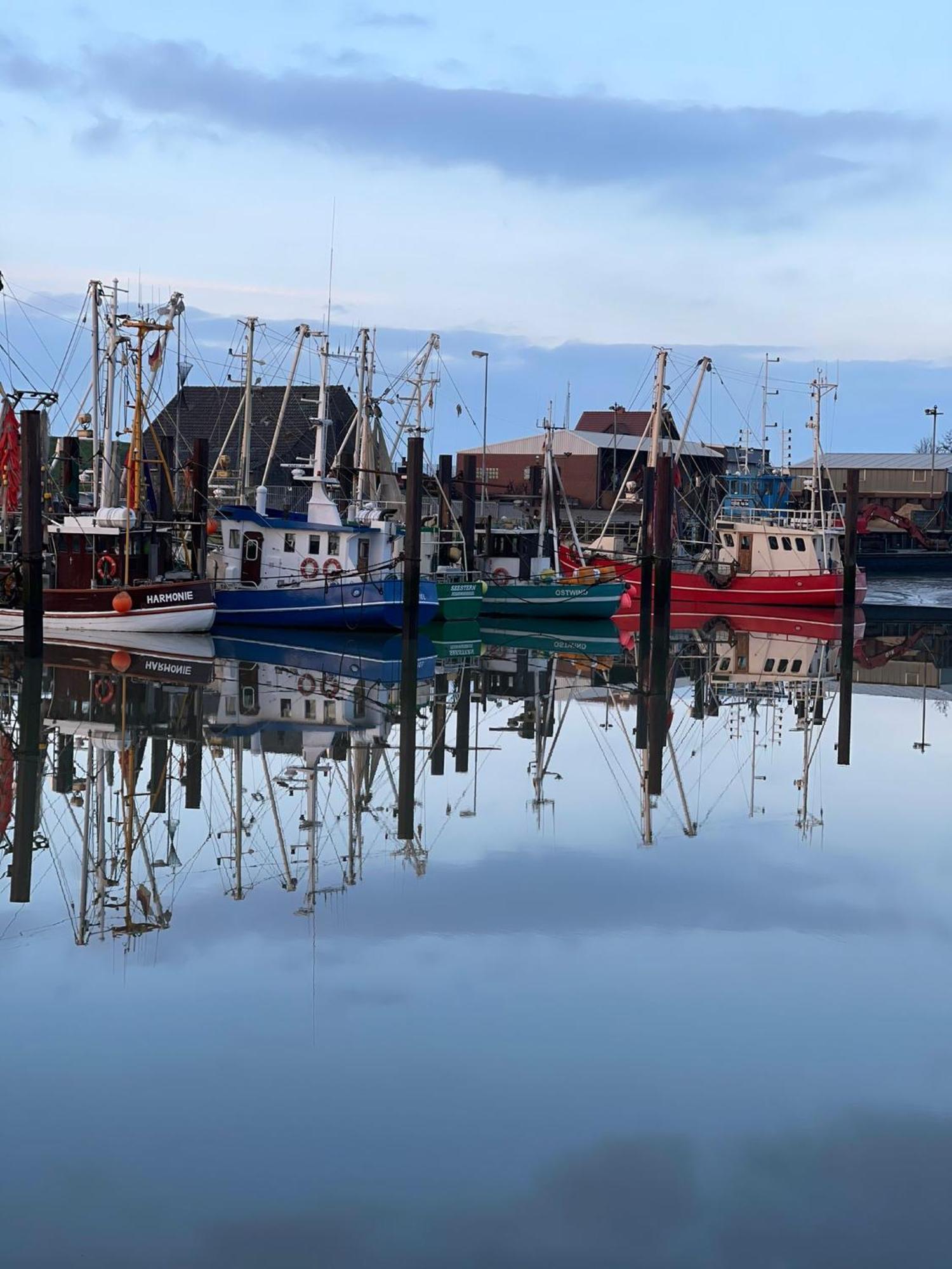 Ferienwohnung Hein Am Nordseedeich Butjadingen Kültér fotó