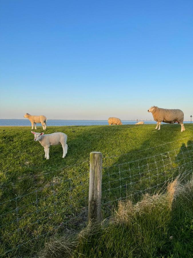 Ferienwohnung Hein Am Nordseedeich Butjadingen Kültér fotó